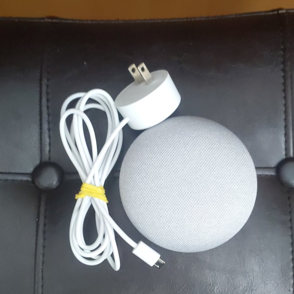 Google Home Mini & Charger